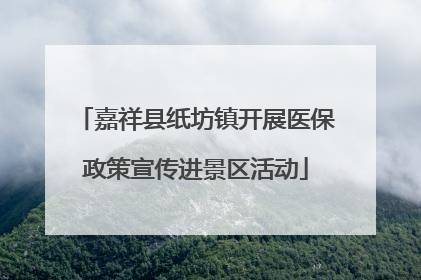 嘉祥县纸坊镇开展医保政策宣传进景区活动